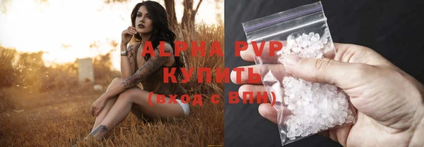 спиды Медвежьегорск