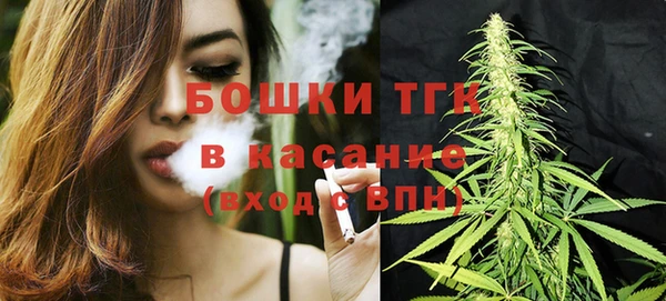 2c-b Мегион