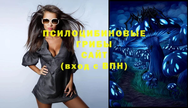 спиды Медвежьегорск