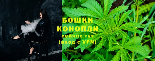 PSILOCYBIN Богородицк