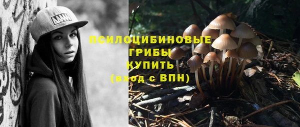 спиды Медвежьегорск
