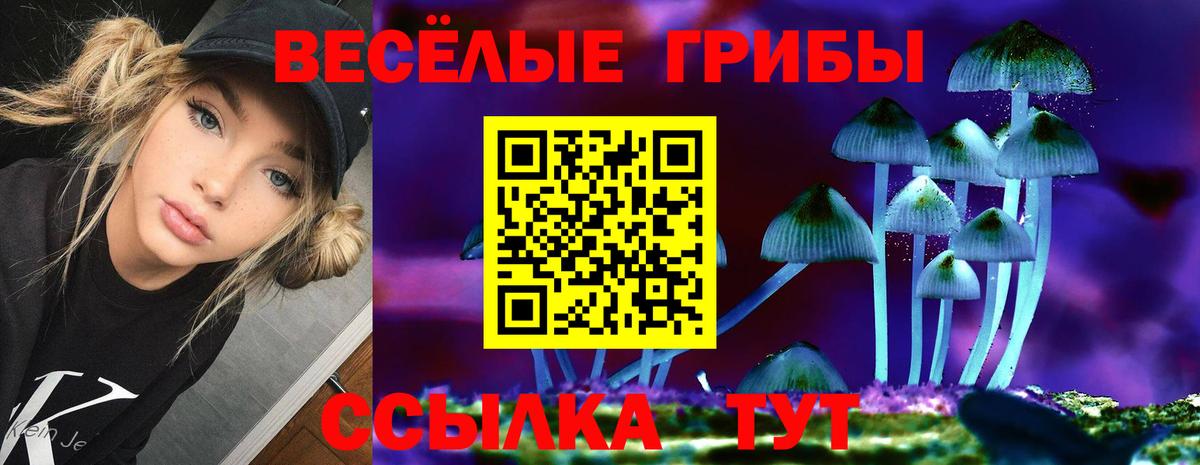 Псилоцибиновые грибы Psilocybe  Волгоград 