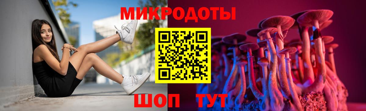 Галлюциногенные грибы Psilocybine cubensis Волгоград