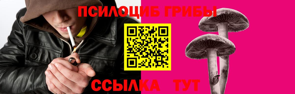 Волгоград  хочу наркоту  Вход с VPN  Галлюциногенные грибы Psilocybe 