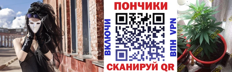 что такое   Волгоград  Бошки марихуана MAZAR 